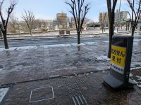 PXL_20260209_005910832